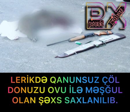 LERİKDƏ QANUNSUZ ÇÖL DONUZU OVU İLƏ MƏŞĞUL OLAN ŞƏXS SAXLANILIB.