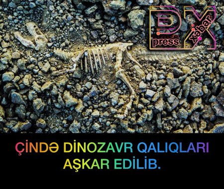 ÇİNDƏ TAPILAN DİNOZAVR QALIQLARI AŞKARLANIB.