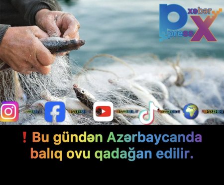 ❗️Bu gündən Azərbaycanda balıq ovu qadağan edilir